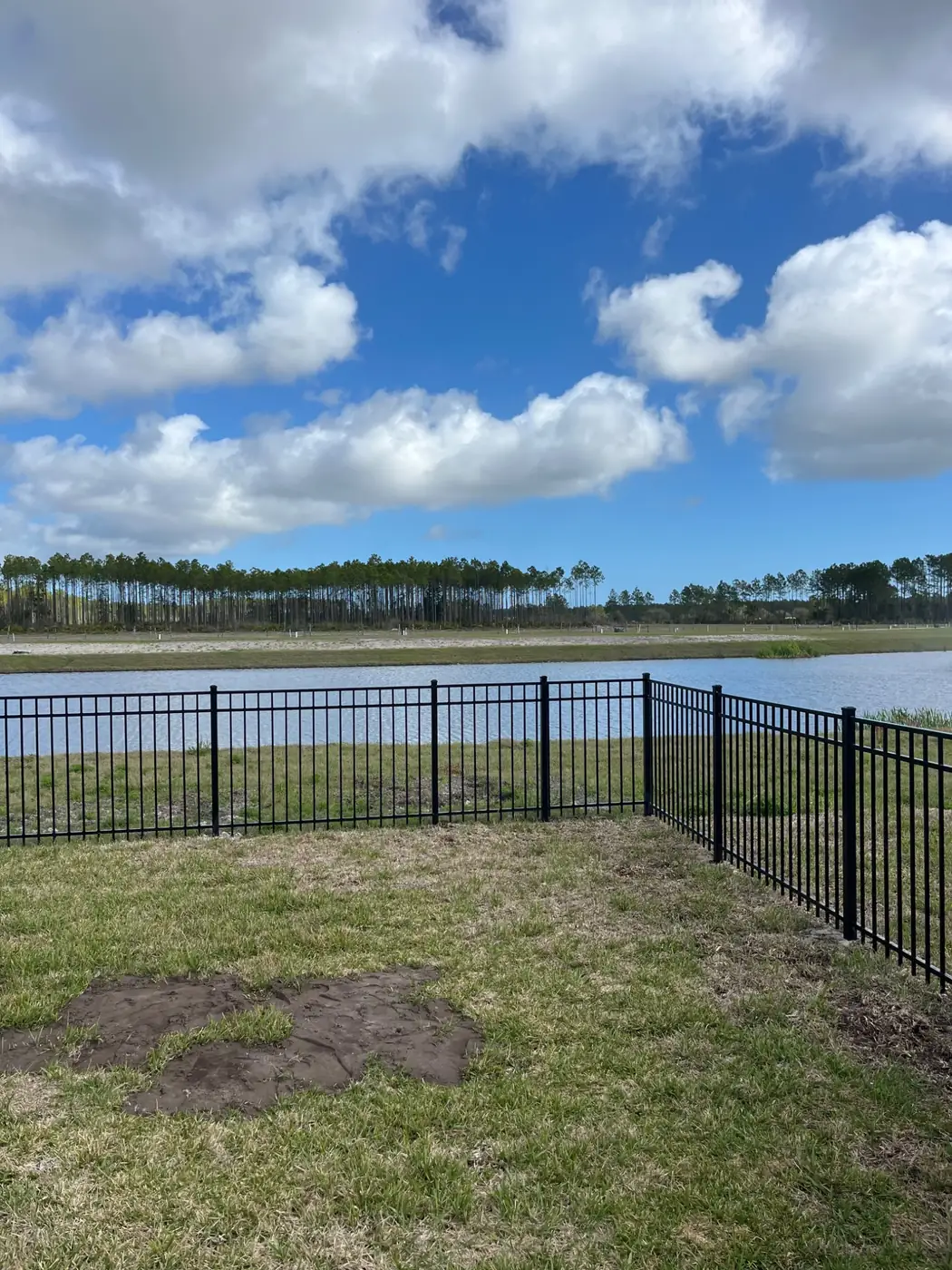 Black aluminum fence overlooking water