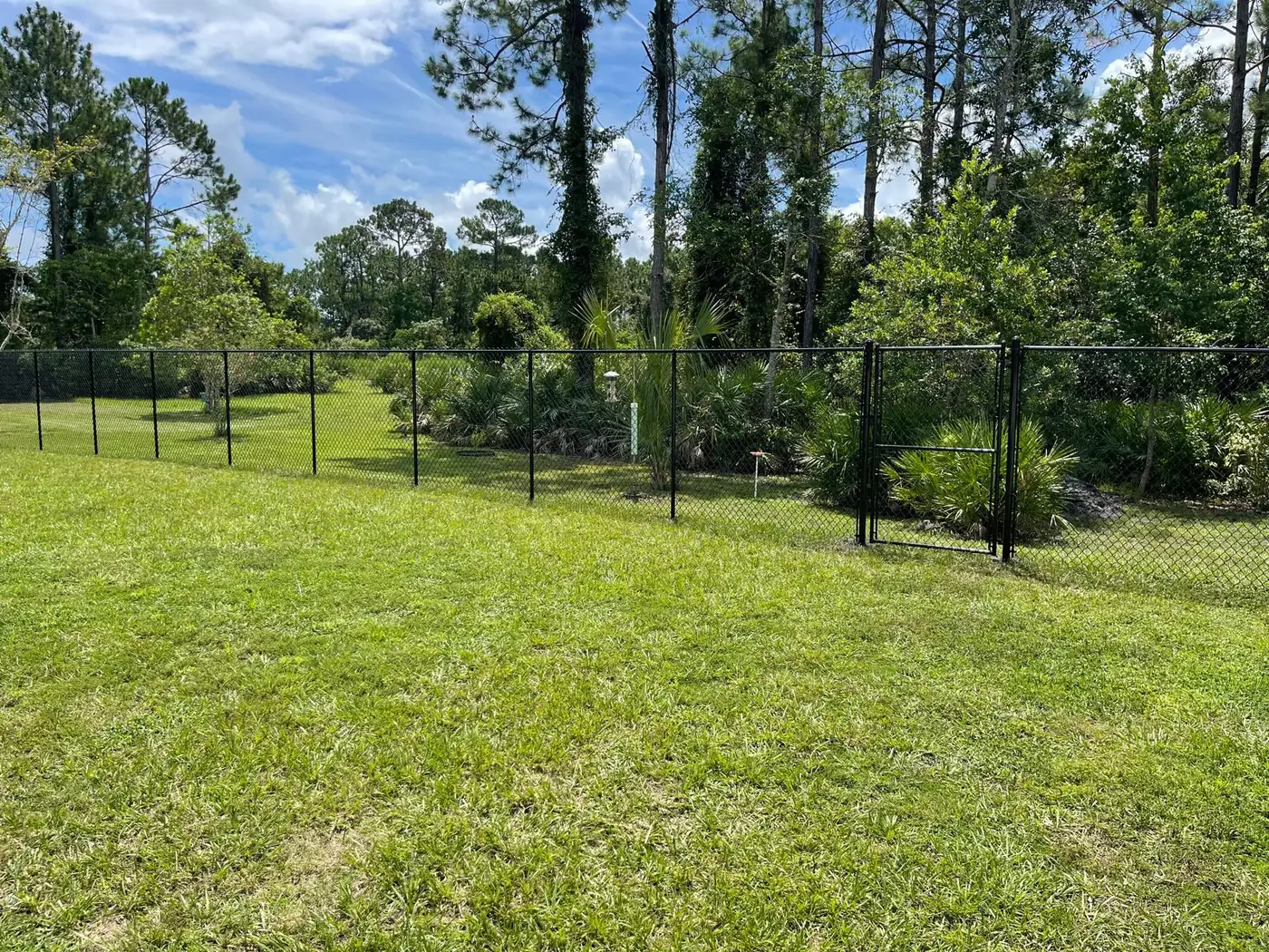 Black chain-link backyard fence
